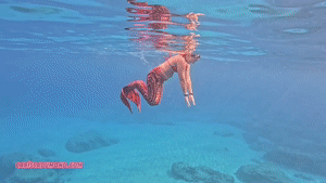 xsiteability.com - Carissa mermaiding in the Red Harlot tail in the Pacific Ocean thumbnail